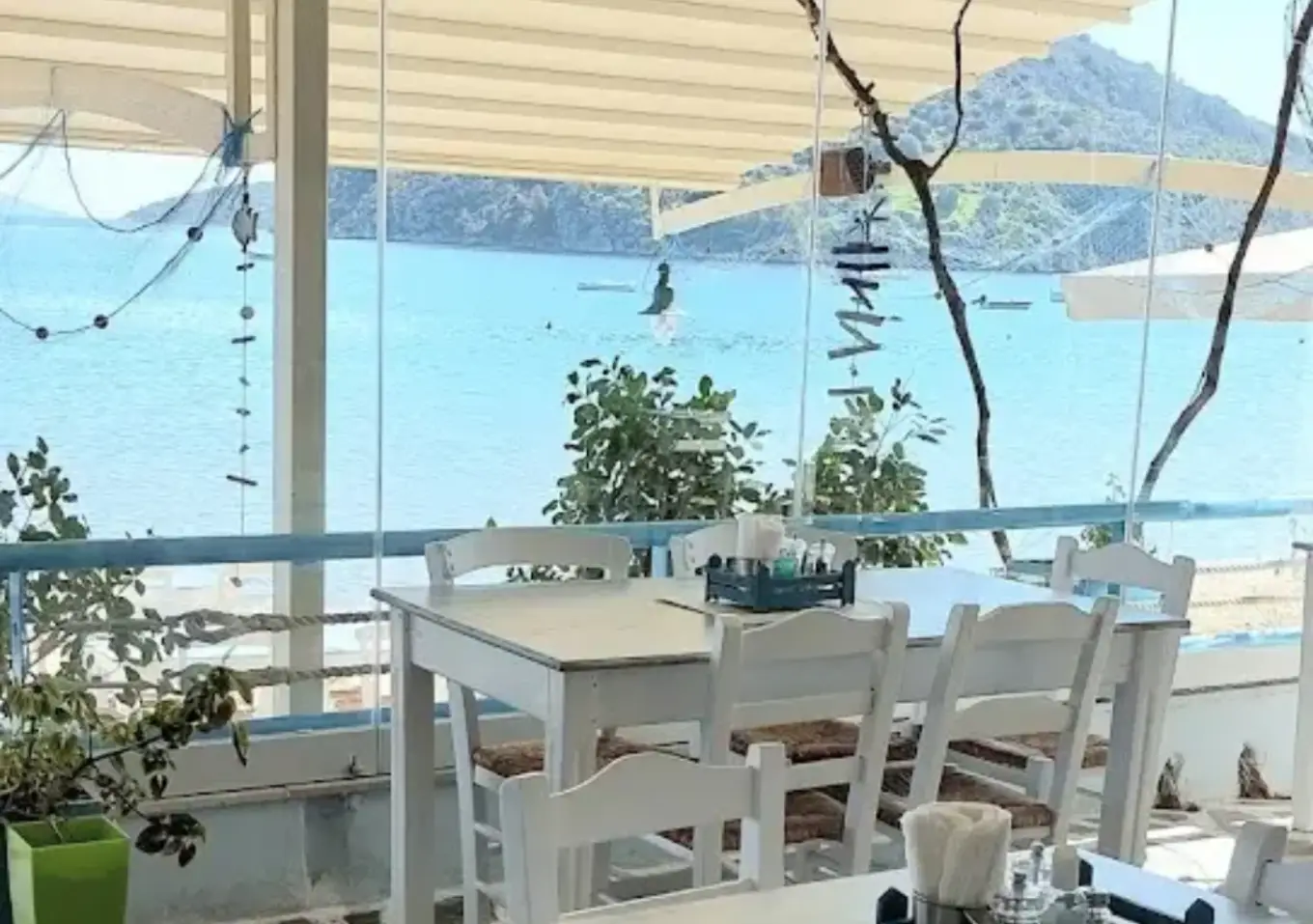 Fresh Fish Display